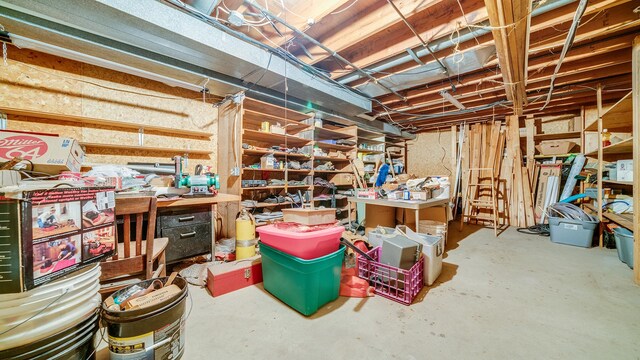 10245 W Penn Cor, Polo, IL 61064 - unfinished basement featuring a workshop area