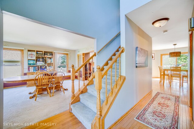 2650 Kingsway Ave, New Lenox, IL 60451 - photo 3