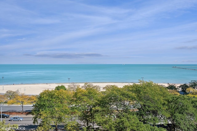 1040 N Lake Shore Dr Unit 8B, Chicago, IL 60611 - photo 12