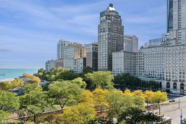 1040 N Lake Shore Dr Unit 8B, Chicago, IL 60611 - photo 10