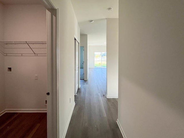 1095 Savannah Ln, Pingree Grove, IL 60140 - corridor with dark wood-style flooring and baseboards