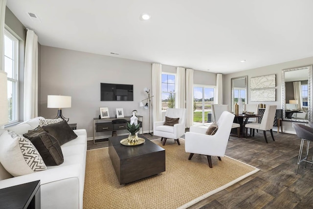 1095 Savannah Ln, Pingree Grove, IL 60140 - living room featuring dark wood-style floors and recessed lighting