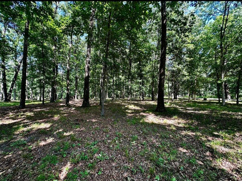 220 Beyers Lake Est, Pana, IL 62557 - photo 1