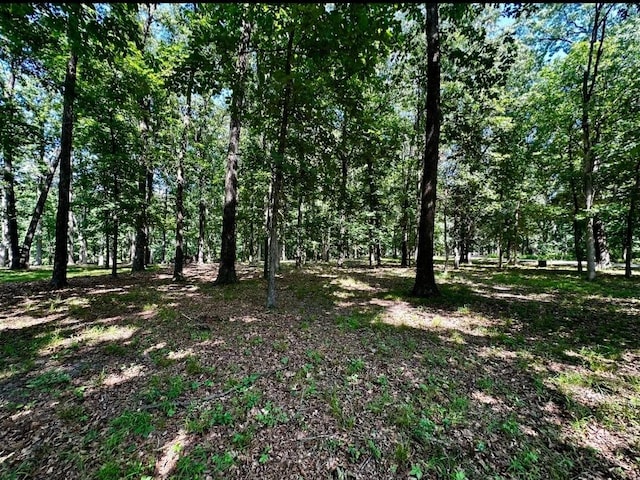 220 Beyers Lake Est, Pana, IL 62557 - photo 1