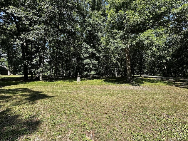 220 Beyers Lake Est, Pana, IL 62557 - photo 2