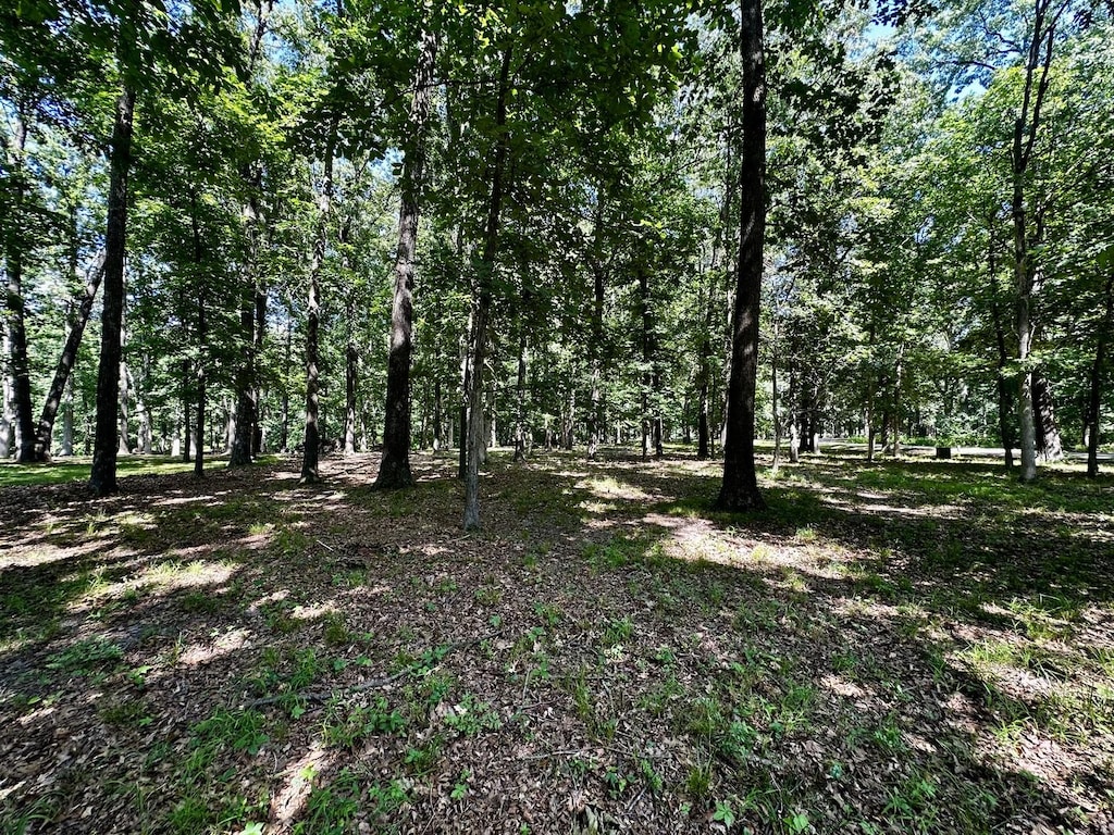 220 Beyers Lake Est, Pana, IL 62557 - photo 4