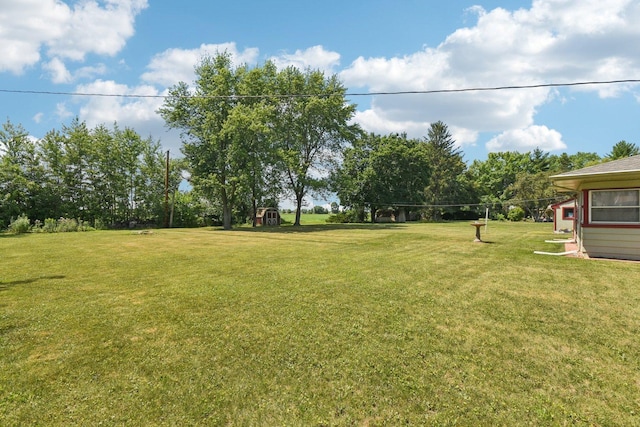1745 Lyndale Rd, Aurora, IL 60506 - view of green lawn featuring a shed
