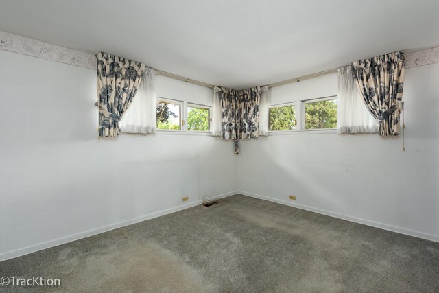 9515 Lincoln Ave, Brookfield, IL 60513 - photo 12
