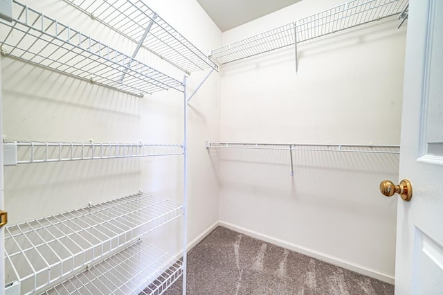 1471 Doolittle Ln, Grayslake, IL 60030 - spacious closet featuring carpet flooring