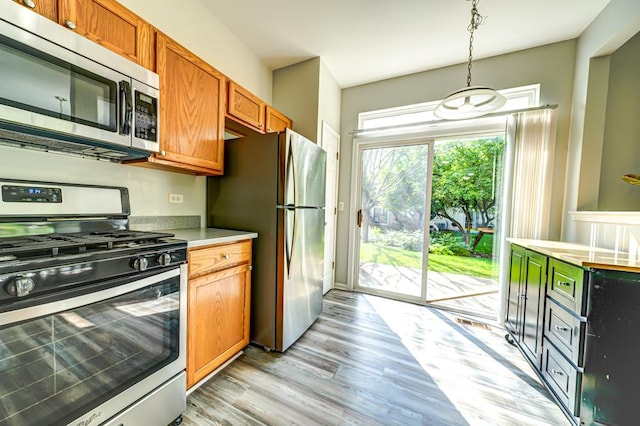 1471 Doolittle Ln, Grayslake, IL 60030 - kitchen with stainless steel appliances, light countertops, light wood-style flooring, and decorative light fixtures