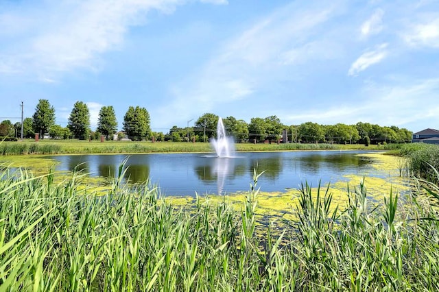 13717 S Sanibel St, Plainfield, IL 60544 - water view