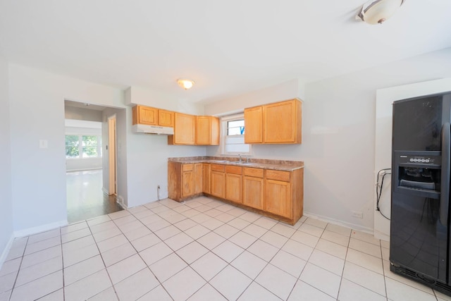 16138 Finch Ave, Harvey, IL 60426 - photo 4
