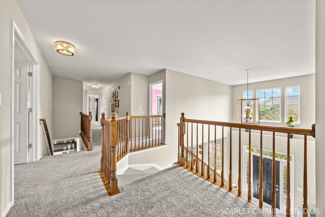 854 Preston Ln, Oswego, IL 60543 - hallway featuring an upstairs landing and carpet flooring