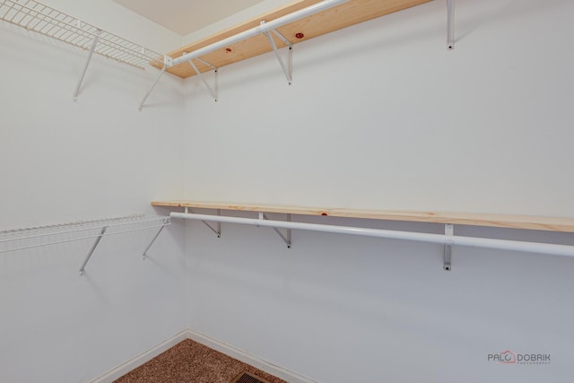 1186 Ballantrae Pl Unit D, Mundelein, IL 60060 - walk in closet featuring carpet floors