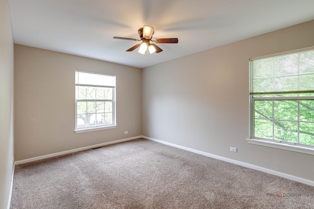 1186 Ballantrae Pl Unit D, Mundelein, IL 60060 - unfurnished room featuring plenty of natural light, ceiling fan, and carpet floors