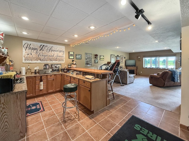 5782 N Brown Rd, Dakota, IL 61018 - bar featuring light tile patterned floors, light colored carpet, recessed lighting, and a paneled ceiling