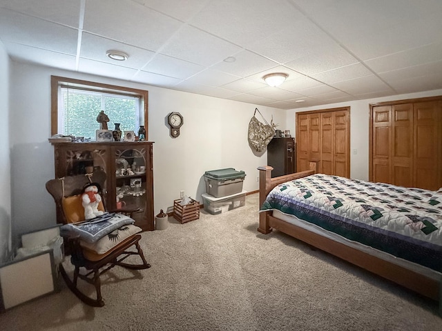 5782 N Brown Rd, Dakota, IL 61018 - bedroom featuring a drop ceiling, carpet, and two closets