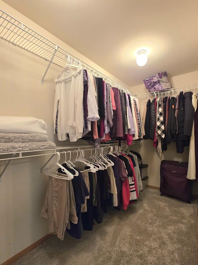 17207 Arrow Head Dr, Lockport, IL 60441 - spacious closet with carpet