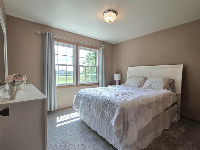 17207 Arrow Head Dr, Lockport, IL 60441 - bedroom with light colored carpet and baseboards
