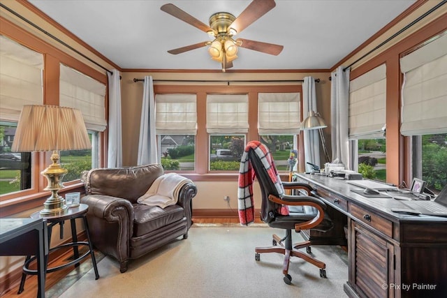 335 Arlington Rd, Itasca, IL 60143 - office featuring ornamental molding and a ceiling fan
