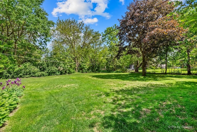 335 Arlington Rd, Itasca, IL 60143 - view of grassy yard
