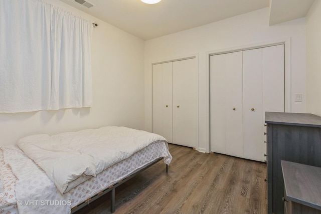 1302 N Bosworth Ave Unit 1, Chicago, IL 60642 - bedroom featuring multiple closets and wood finished floors