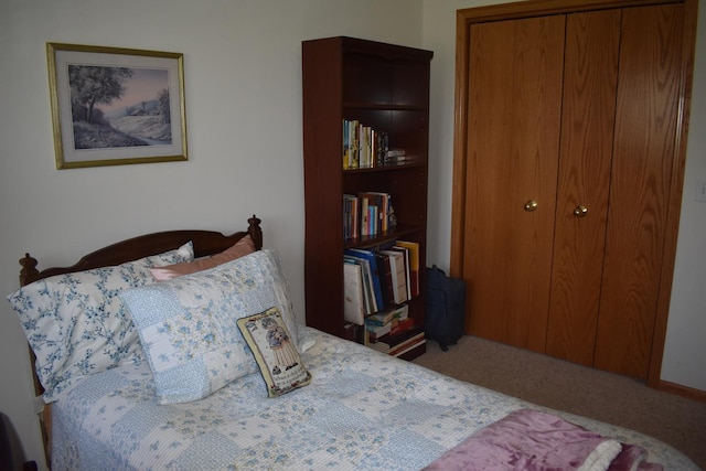 13058 Laurel Glen Ct Unit 203, Palos Heights, IL 60463 - bedroom featuring carpet and a closet
