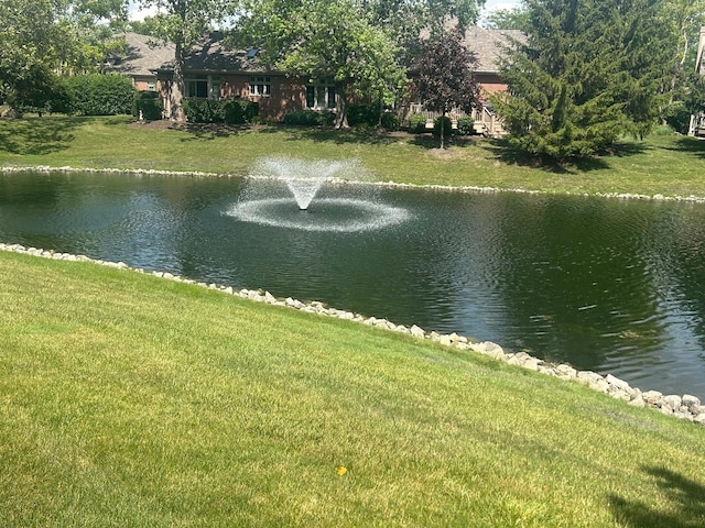 13058 Laurel Glen Ct Unit 203, Palos Heights, IL 60463 - water view