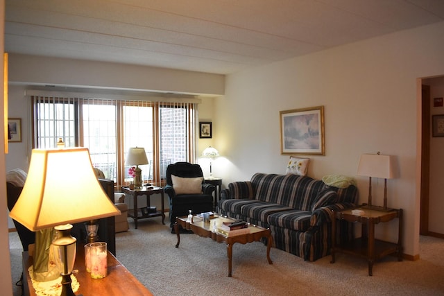 13058 Laurel Glen Ct Unit 203, Palos Heights, IL 60463 - view of carpeted living area