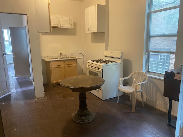 129 E Kensington Ave, Chicago, IL 60628 - photo 11