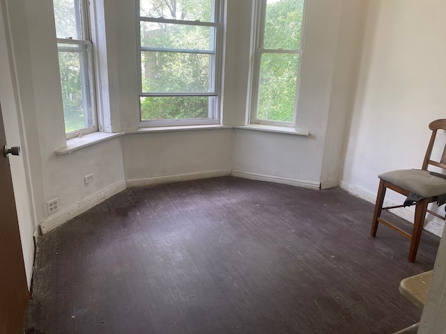129 E Kensington Ave, Chicago, IL 60628 - photo 15