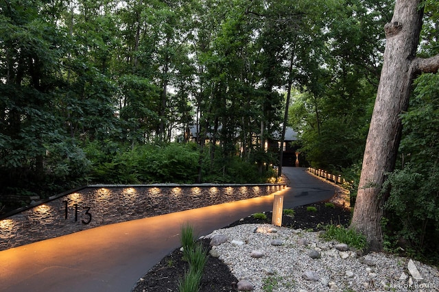 113 Oak Ridge Dr E, Burr Ridge, IL 60527 - view of home's community