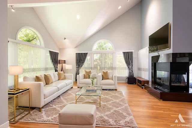 113 Oak Ridge Dr E, Burr Ridge, IL 60527 - living area featuring light wood-style floors, high vaulted ceiling, and a tiled fireplace