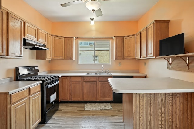 13425 S S Ave M, Chicago, IL 60633 - kitchen featuring under cabinet range hood, black range with gas cooktop, light wood-style floors, and light countertops