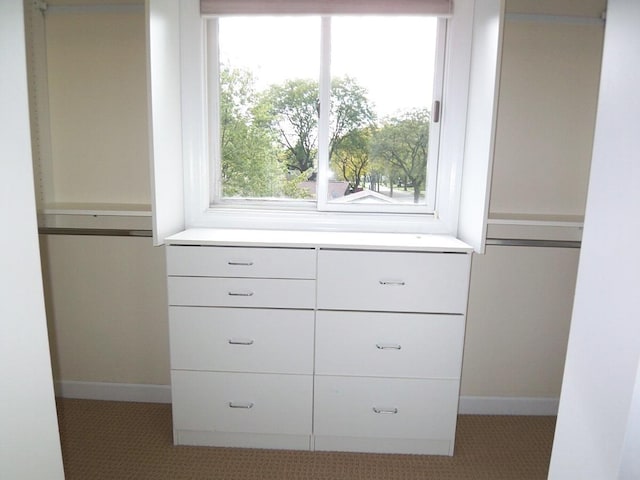 623 Willow Ln, Elk Grove Village, IL 60007 - view of closet