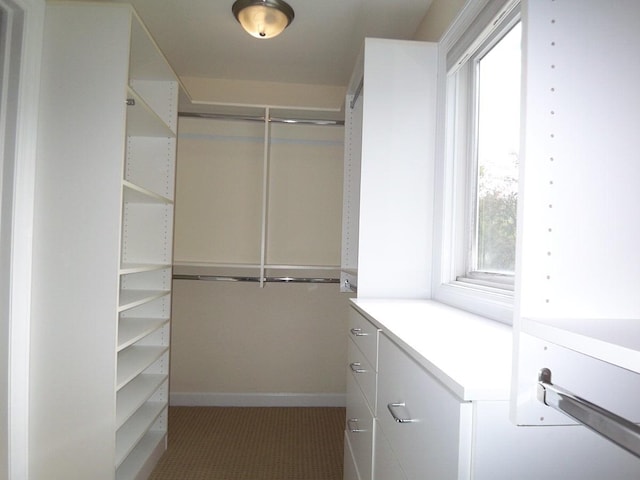 623 Willow Ln, Elk Grove Village, IL 60007 - view of spacious closet