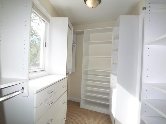 623 Willow Ln, Elk Grove Village, IL 60007 - view of spacious closet