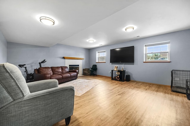4513 W Jonquil Ln, Monee, IL 60449 - living area featuring wood finished floors and a tiled fireplace