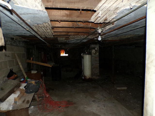 8417 S Mackinaw Ave, Chicago, IL 60617 - below grade area with water heater and crawl space
