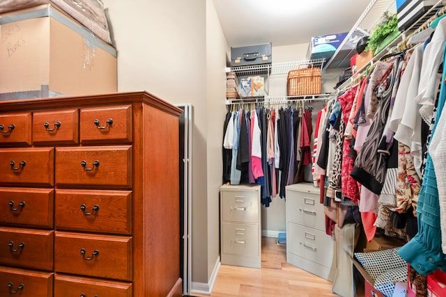 833 Winter Park Dr Unit 833, New Lenox, IL 60451 - spacious closet featuring light wood-style floors