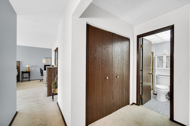 475 Plum Creek Dr Unit 212, Wheeling, IL 60090 - corridor with light colored carpet