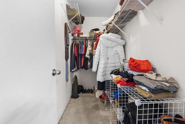 12050 Baneberry Dr Unit 9, Roscoe, IL 61073 - walk in closet featuring carpet
