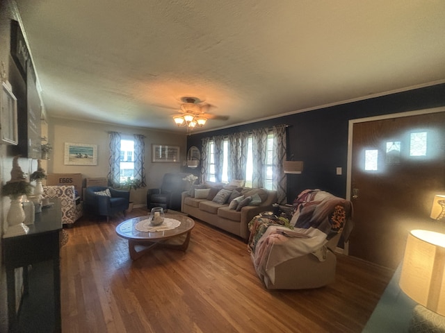 1005 N Main St, Marissa, IL 62257 - photo 8