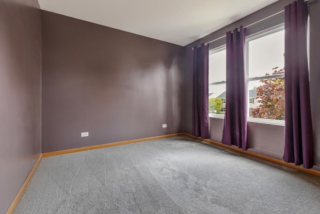 838 Valley Stream Dr, Pingree Grove, IL 60140 - spare room with carpet floors