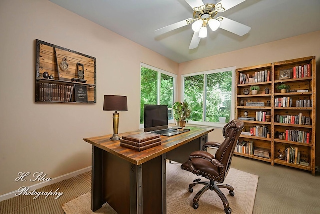750 Seybrooke Ln, Crystal Lake, IL 60012 - home office with carpet and ceiling fan