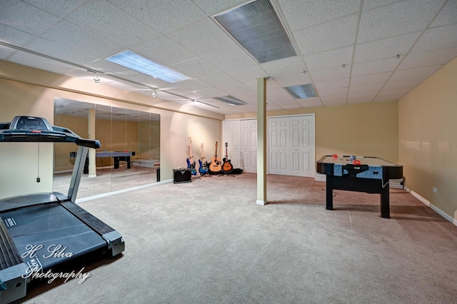 750 Seybrooke Ln, Crystal Lake, IL 60012 - workout area with carpet and a drop ceiling