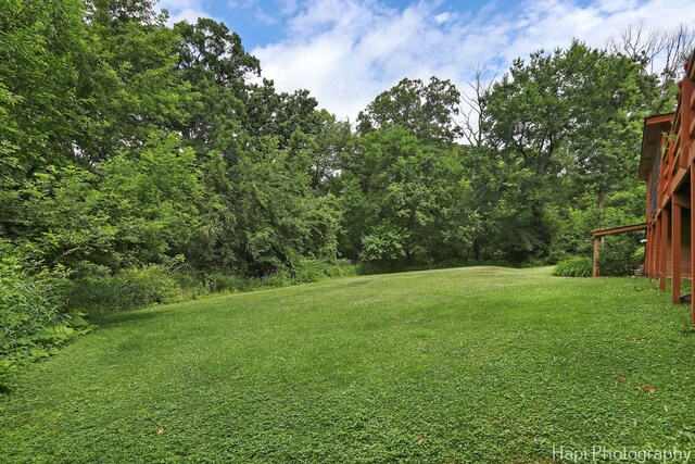 3474 Il Route 53, Long Grove, IL 60047 - photo 28