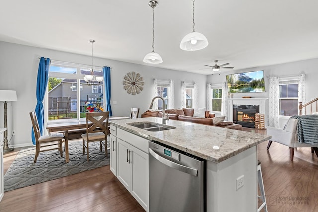 1402 Souders Ave, Elburn, IL 60119 - kitchen featuring stainless steel dishwasher, a ceiling fan, a glass covered fireplace, dark wood-style floors, and healthy amount of natural light