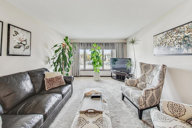 11531 S S Ave J, Chicago, IL 60617 - view of carpeted living area