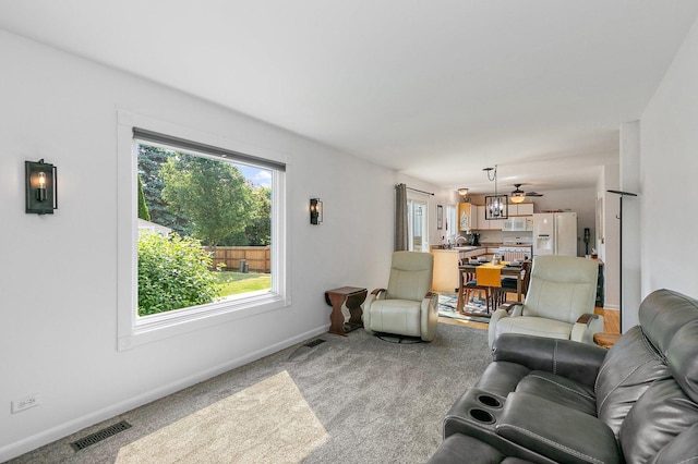 1239 Angeline Dr, South Elgin, IL 60177 - living room with baseboards and carpet